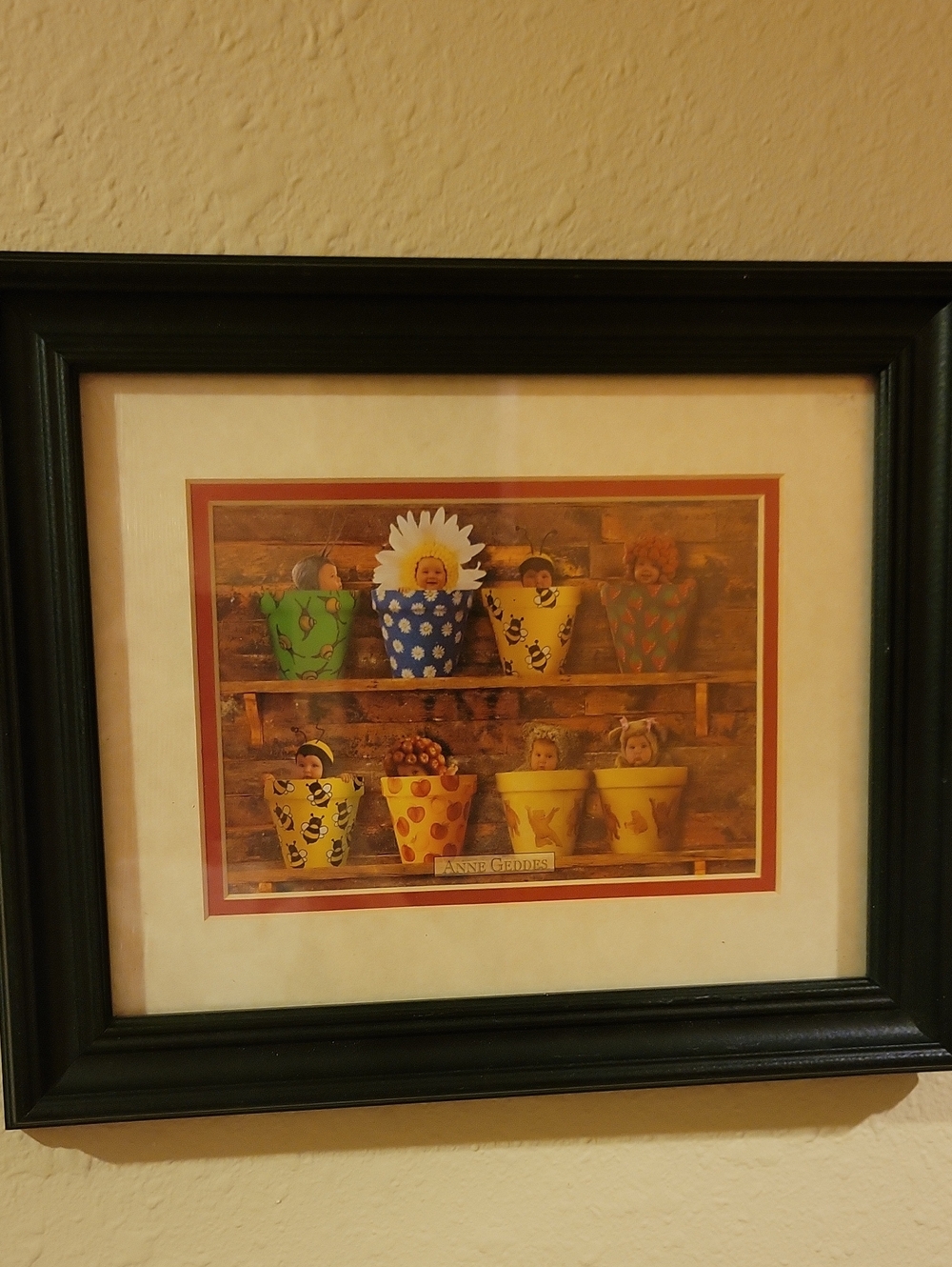 Anne Geddes POTTING SHED #3' Framed Print